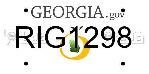 RIG1298 Georgia License Plate