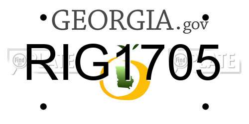 RIG1705 Georgia License Plate