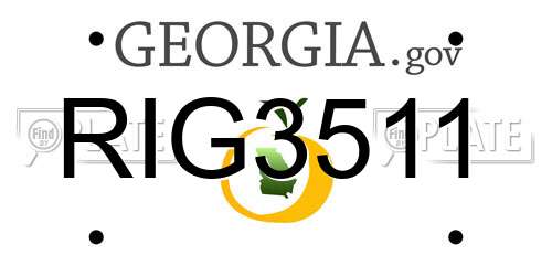 RIG3511 Georgia License Plate