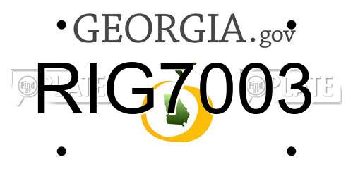 RIG7003 Georgia License Plate
