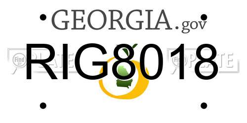 RIG8018 Georgia License Plate