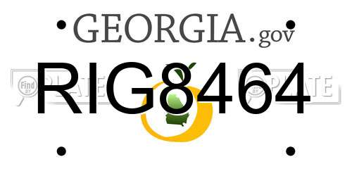 RIG8464 Georgia License Plate