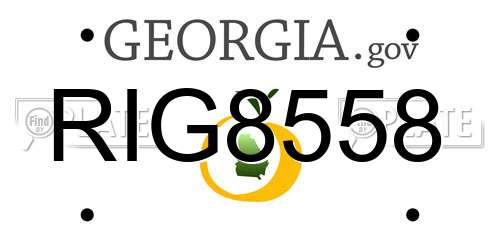 RIG8558 Georgia License Plate