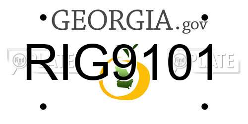 RIG9101 Georgia License Plate