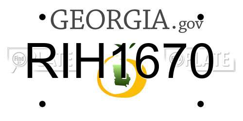 RIH1670 Georgia License Plate