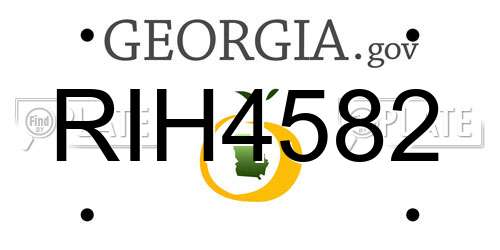 RIH4582 Georgia License Plate