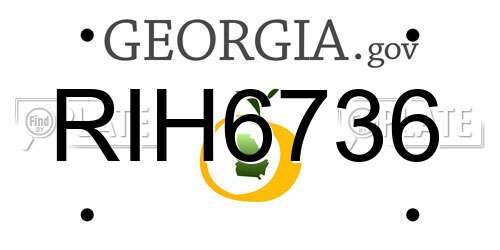 RIH6736 Georgia License Plate