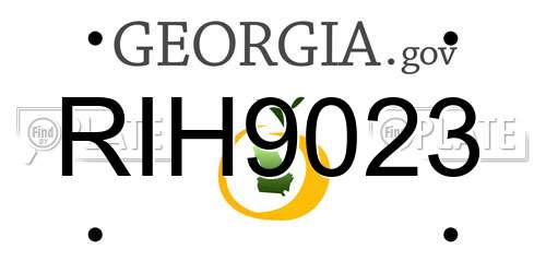 RIH9023 Georgia License Plate