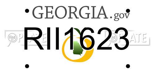 RII1623 Georgia License Plate