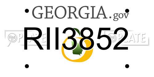 RII3852 Georgia License Plate