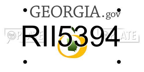 RII5394 Georgia License Plate