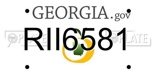 RII6581 Georgia License Plate