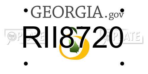 RII8720 Georgia License Plate