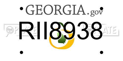 RII8938 Georgia License Plate
