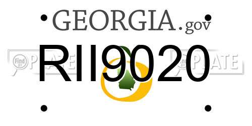 RII9020 Georgia License Plate