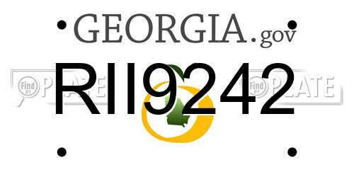 RII9242 Georgia License Plate