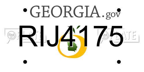 RIJ4175 Georgia License Plate