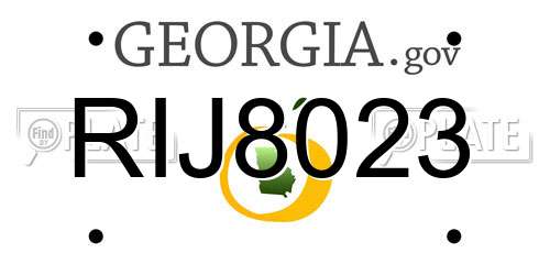 RIJ8023 Georgia License Plate