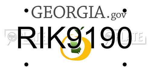 RIK9190 Georgia License Plate