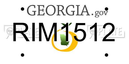 RIM1512 Georgia License Plate