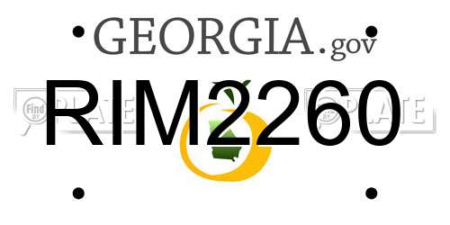 RIM2260 Georgia License Plate