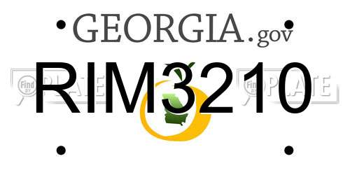 RIM3210 Georgia License Plate