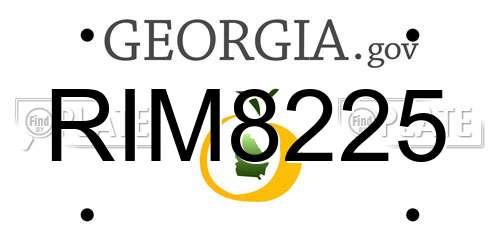 RIM8225 Georgia License Plate