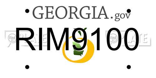 RIM9100 Georgia License Plate