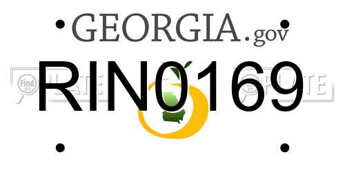 RIN0169 Georgia License Plate