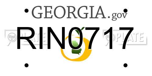 RIN0717 Georgia License Plate