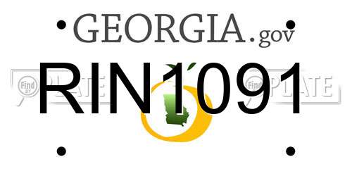 RIN1091 Georgia License Plate