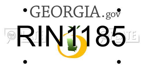 RIN1185 Georgia License Plate