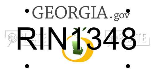 RIN1348 Georgia License Plate