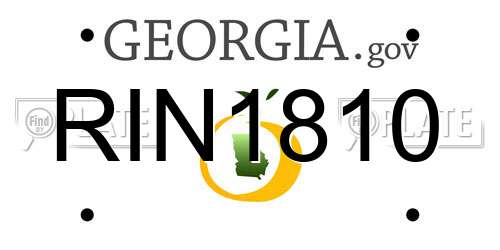 RIN1810 Georgia License Plate