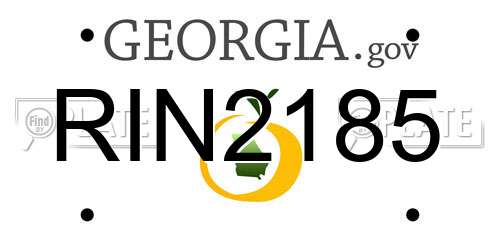 RIN2185 Georgia License Plate
