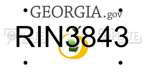RIN3843 Georgia License Plate