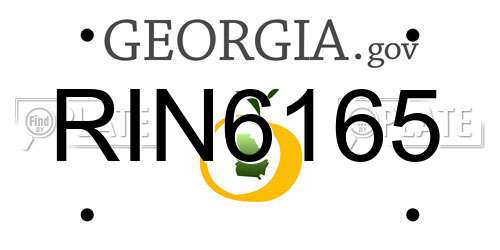 RIN6165 Georgia License Plate