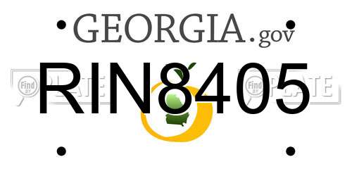 RIN8405 Georgia License Plate