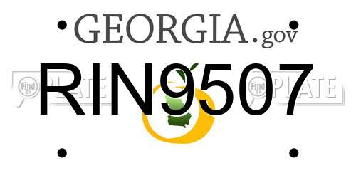 RIN9507 Georgia License Plate