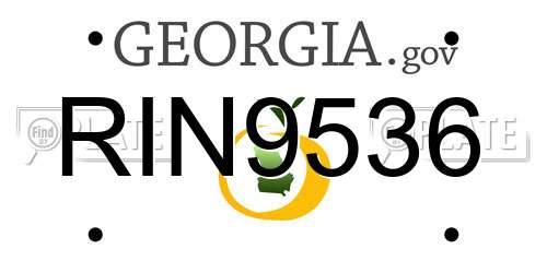 RIN9536 Georgia License Plate