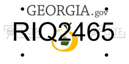 RIQ2465 Georgia License Plate