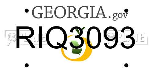 RIQ3093 Georgia License Plate
