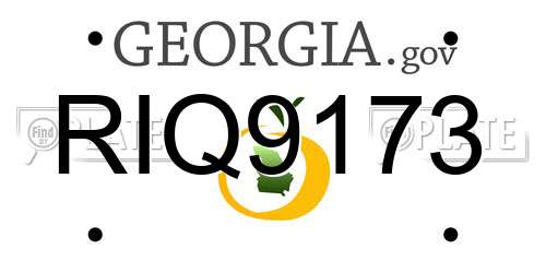 RIQ9173 Georgia License Plate