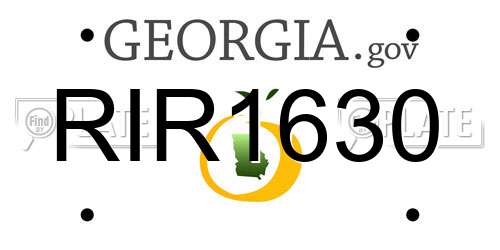 RIR1630 Georgia License Plate