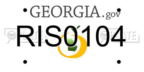 RIS0104 Georgia License Plate