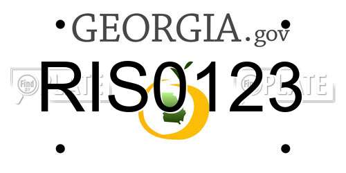 RIS0123 Georgia License Plate