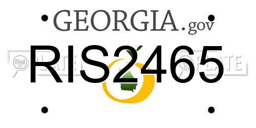 RIS2465 Georgia License Plate