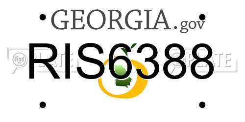 RIS6388 Georgia License Plate