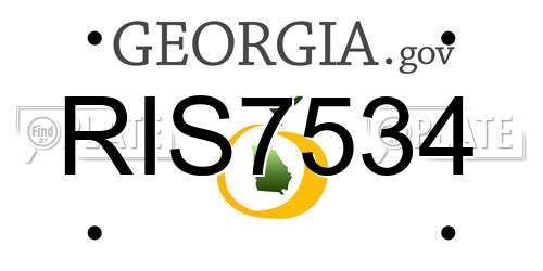 RIS7534 Georgia License Plate