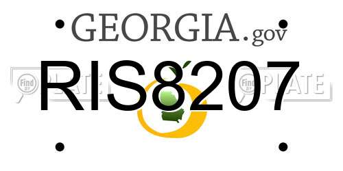 RIS8207 Georgia License Plate